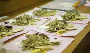 中藥大全,太難得了,可以對付百種疾病,值得學習