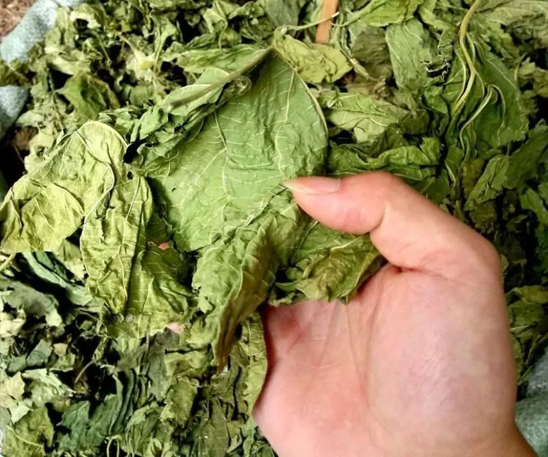 中藥大全,太難得了,可以對付百種疾病,值得學習