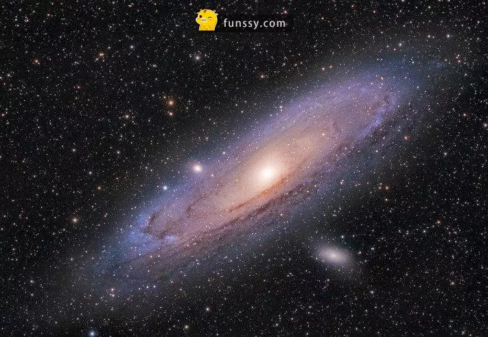 15個讓你看完感覺超級WTF的驚奇事 #3, 在這個星球上雞的數量比人還多