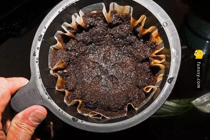 15個讓你看完感覺超級WTF的驚奇事 #3, 在這個星球上雞的數量比人還多