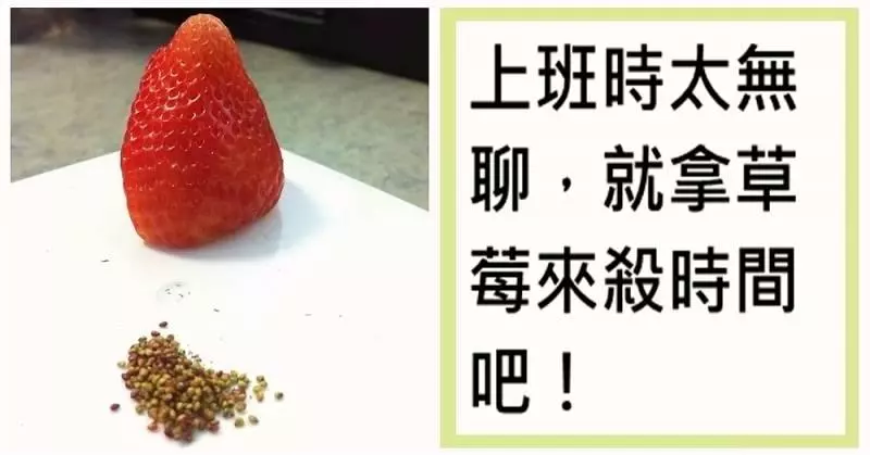 25 張「當工作太無聊時,上班族幹出的事兒」揭露老闆不知道的員工另一面