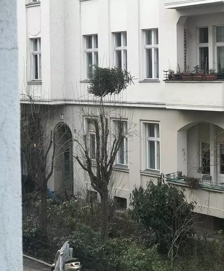 18個讓你慶幸不是住他們附近的「地獄級鄰居」 突然看見牆上冒出一個洞...
