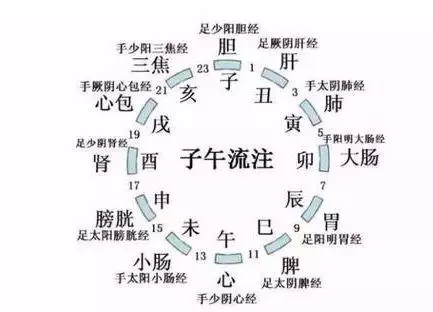 中醫康復 | 康復理療師必須掌握的經絡理論!