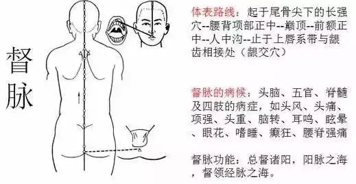 中醫康復 | 康復理療師必須掌握的經絡理論!