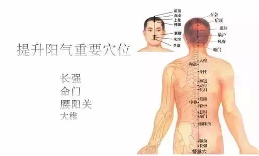 中醫康復 | 康復理療師必須掌握的經絡理論!