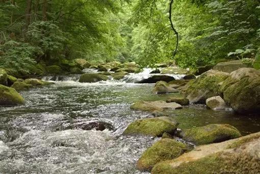 研究:全球河流遭抗生素嚴重污染 甚至超標300倍