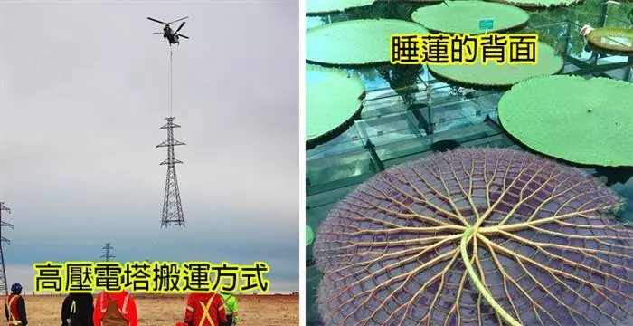 25張「外表跟真相差超大」的世界真相照~~~