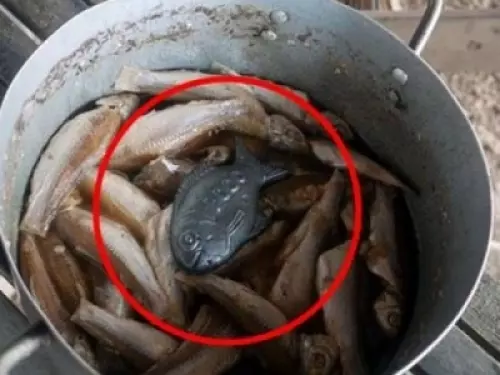 注意!到「柬埔寨」旅遊,絕對要記得別動菜裡的「這條鐵魚」,不然就會被所有人討厭!