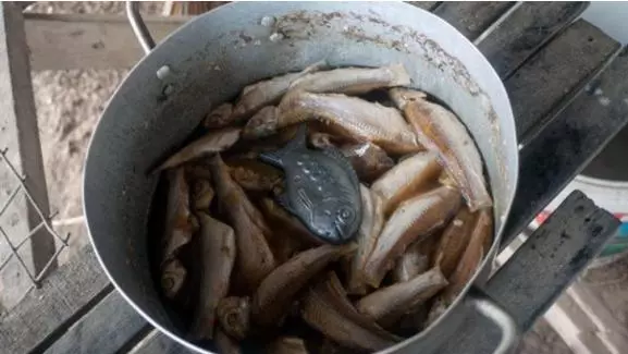 注意!到「柬埔寨」旅遊,絕對要記得別動菜裡的「這條鐵魚」,不然就會被所有人討厭!