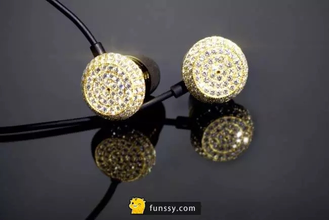 19個明明是一樣的東西,但價錢卻差得遠的物品 #16蘋果形狀的馬桶蓋~~~