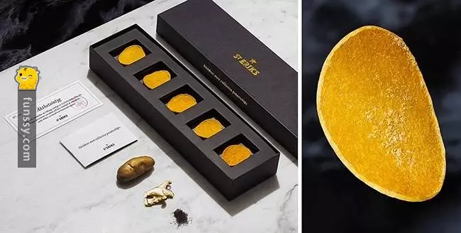 19個明明是一樣的東西,但價錢卻差得遠的物品 #16蘋果形狀的馬桶蓋~~~