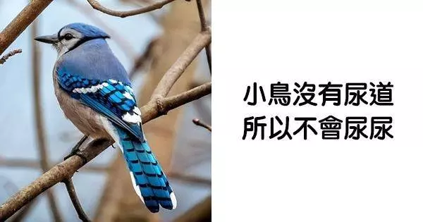 21個「會讓大家都回不去」的狂知識