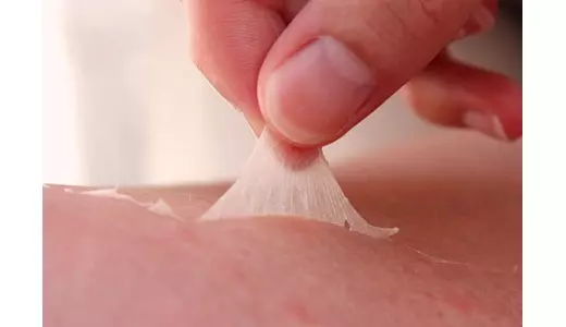20個會衝擊你大腦深處的「驚奇事實」 椰子奪走的人命比鯊魚多!