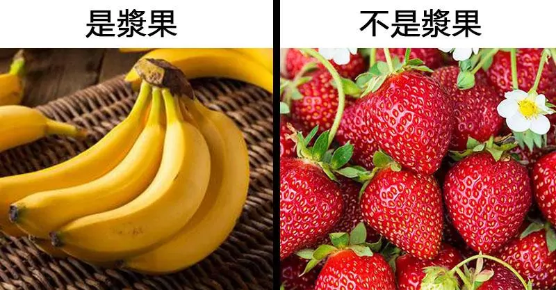 18個生物老師也不一定知道的「食物真相」 冰棒的發明過程完全是巧合!