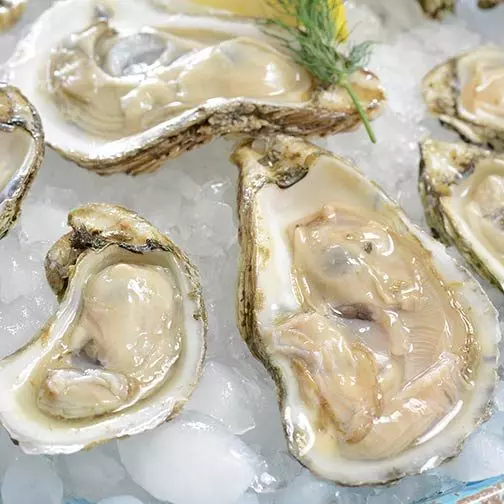 18個生物老師也不一定知道的「食物真相」 冰棒的發明過程完全是巧合!