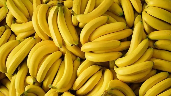 18個生物老師也不一定知道的「食物真相」 冰棒的發明過程完全是巧合!