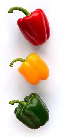 18個生物老師也不一定知道的「食物真相」 冰棒的發明過程完全是巧合!