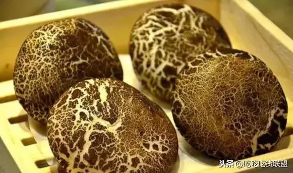 幾款特色象形點心做法大全,糯香爽口的美食喜歡嘗試一下