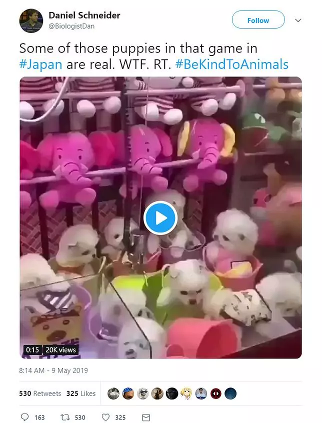 活生生的狗當獎品! 殘忍夾娃娃機遭眾人撻伐
