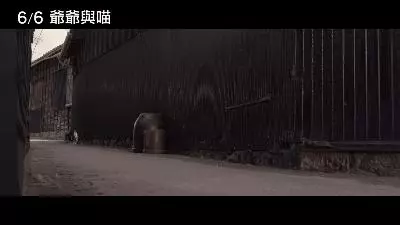 《爺爺與喵》貓奴導演只狂拍貓! 演員嘆:導演你也要拍人啊 - 寵物星人的秘密基地