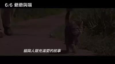 《爺爺與喵》貓奴導演只狂拍貓! 演員嘆:導演你也要拍人啊 - 寵物星人的秘密基地
