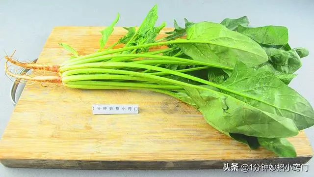 焯過菠菜的水記得要留下,一滴也別浪費了,用途非常大!