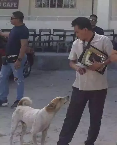 不知拔八離去 忠犬浪浪「多天苦守門口」傷心無助碰門：你在哪裡QQ