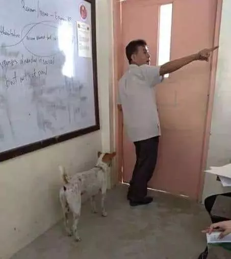 不知拔八離去 忠犬浪浪「多天苦守門口」傷心無助碰門：你在哪裡QQ