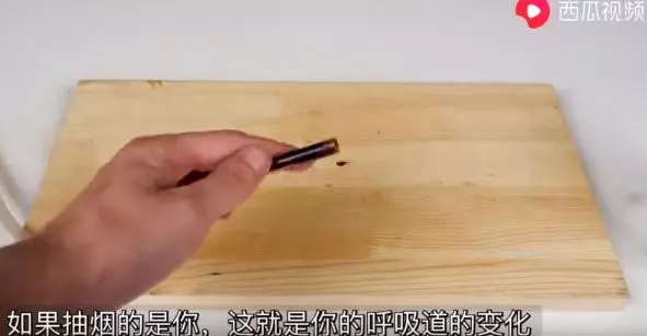 戒不掉?實測蟑螂抽20支菸 結局超驚人