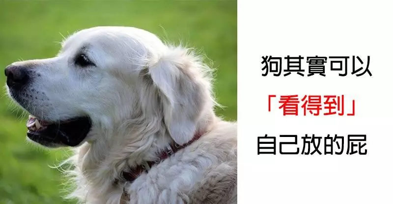 17個「衝破你想像」的自然驚奇事實 麥田圈的創作本尊...竟是國寶級動物!