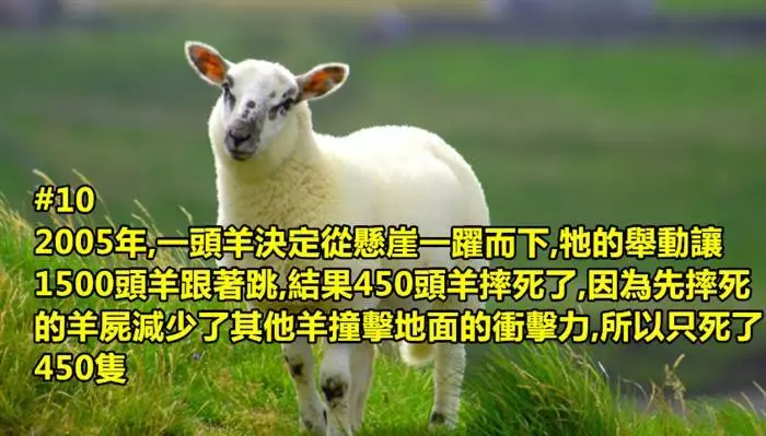 19個冷知識讓你增廣見聞