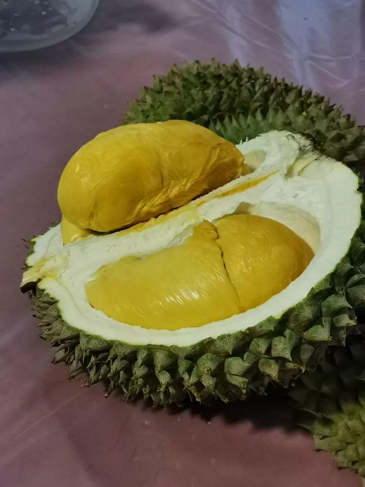 GENTING瘋狂大促銷!名牌折扣高達70%還送禮!這樣買這樣吃才夠過癮!