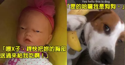 10張網友加註解的超爆笑照片,看完後你會發現已經笑出皺紋了!