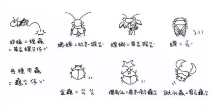 23個連台灣阿公阿嬤都不一定會的「昆蟲名稱台語唸法」,原來「蜜蜂」要唸做「ㄆㄤ」!