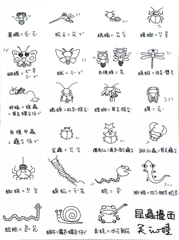 23個連台灣阿公阿嬤都不一定會的「昆蟲名稱台語唸法」,原來「蜜蜂」要唸做「ㄆㄤ」!