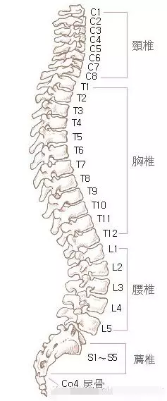 翹腳壞處5大注意位 最嚴重可致椎間盤突出、流產!