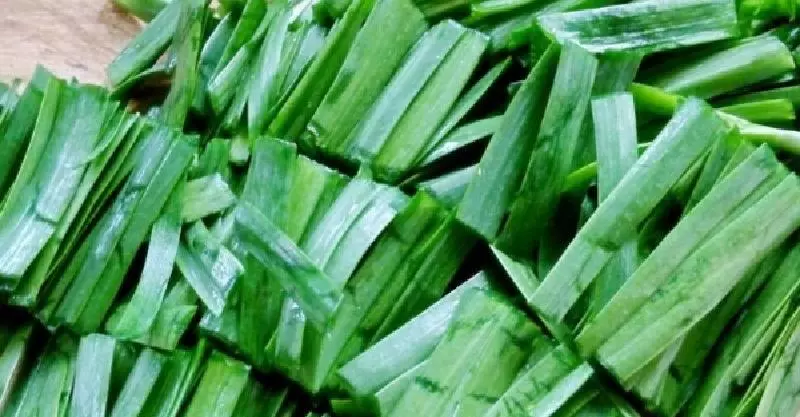 韭菜有「活血抗菌」效果,卻千萬不能和3種東西一起吃... 99%人不知道!