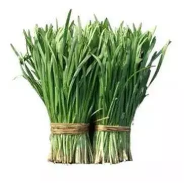 韭菜有「活血抗菌」效果,卻千萬不能和3種東西一起吃... 99%人不知道!