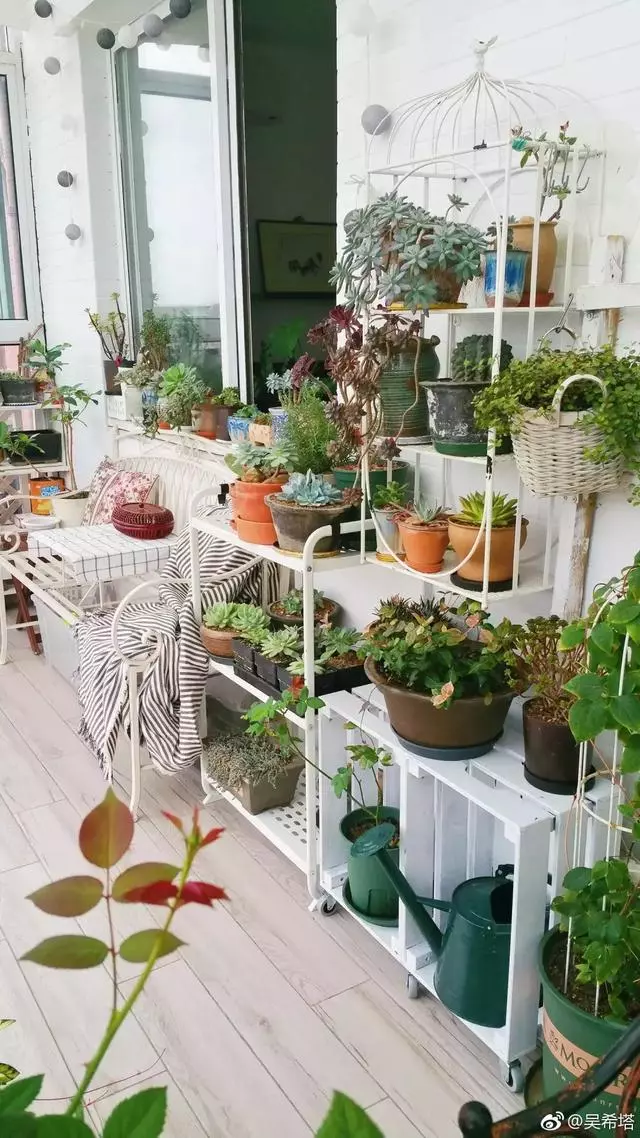 比日本主婦還厲害的中國媽媽,家裡有娃還能10年不亂的秘密是....