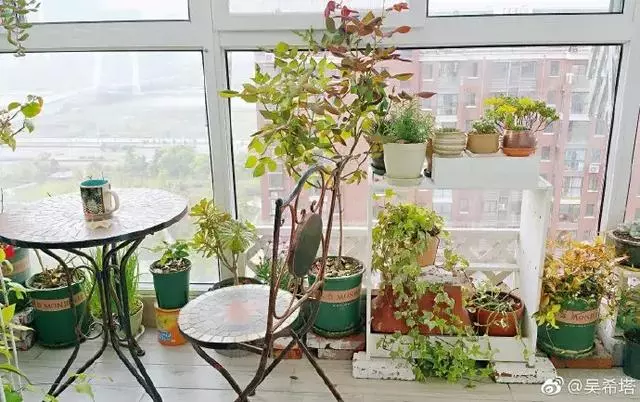 比日本主婦還厲害的中國媽媽,家裡有娃還能10年不亂的秘密是....