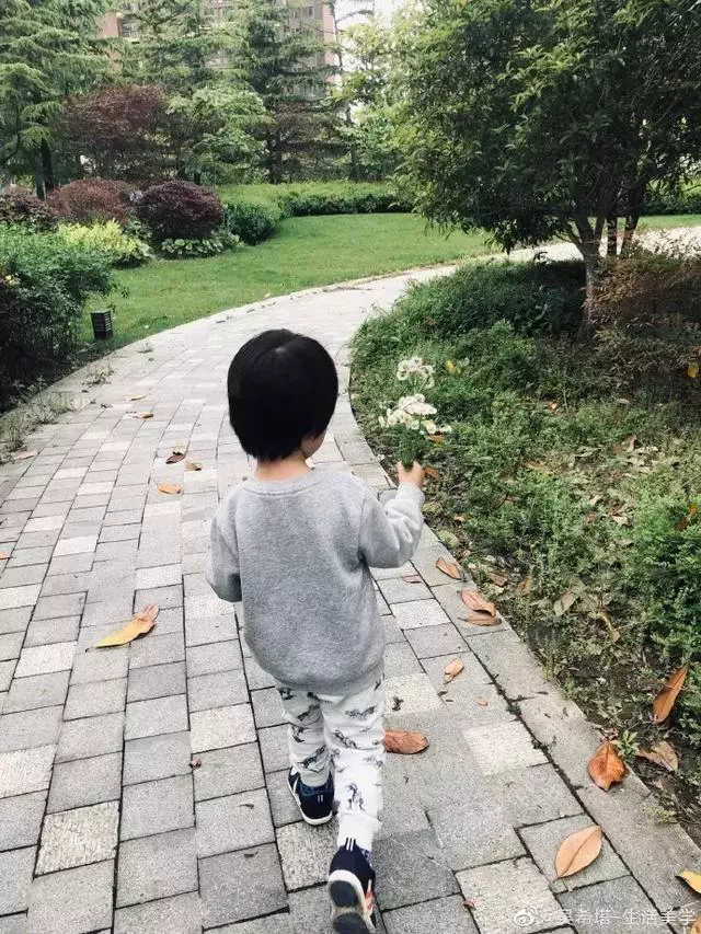 比日本主婦還厲害的中國媽媽,家裡有娃還能10年不亂的秘密是....
