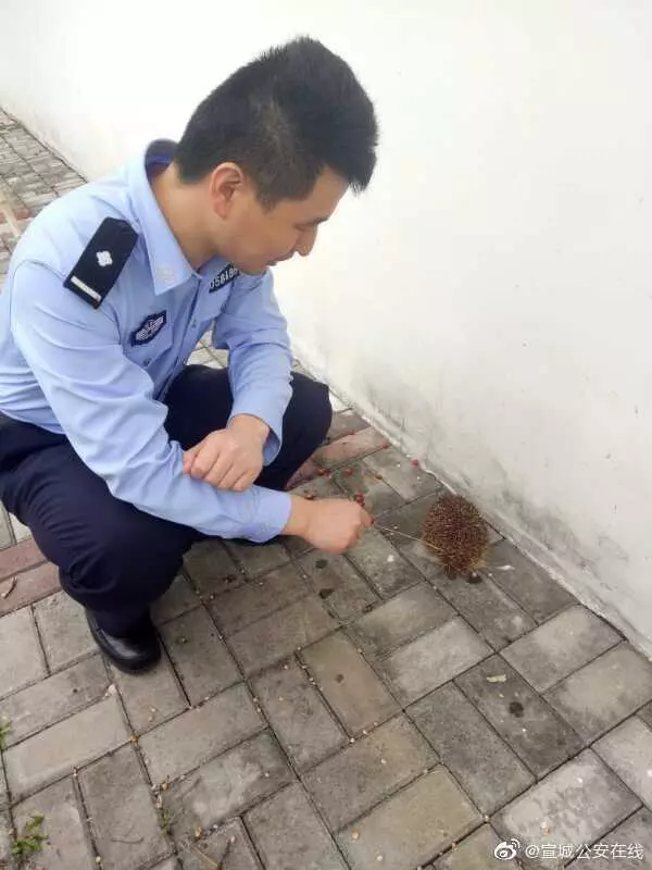 汪汪散步「巧遇美容師」秒認出人 滿臉震驚:你怎麼會在這裡?