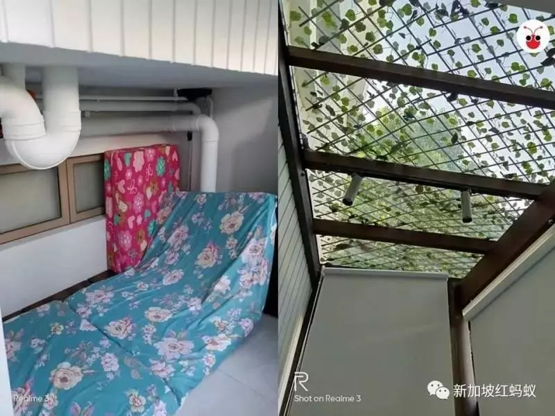 狠心僱主竟然讓女傭睡廁所水管下?真相原來是這樣