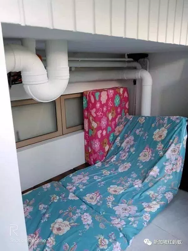 狠心僱主竟然讓女傭睡廁所水管下?真相原來是這樣