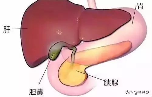 熬夜最傷肝!每天按揉3大穴位有效補肝!
