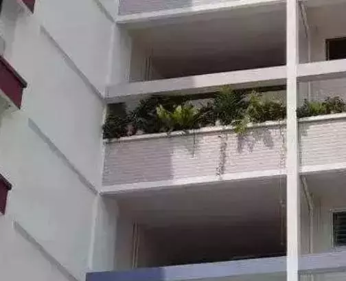 在新加坡遇到這種奇葩鄰居真是倒楣透了!每天出個門都要披荊斬棘像住原始森林