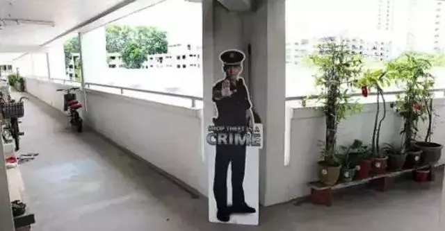 在新加坡遇到這種奇葩鄰居真是倒楣透了!每天出個門都要披荊斬棘像住原始森林