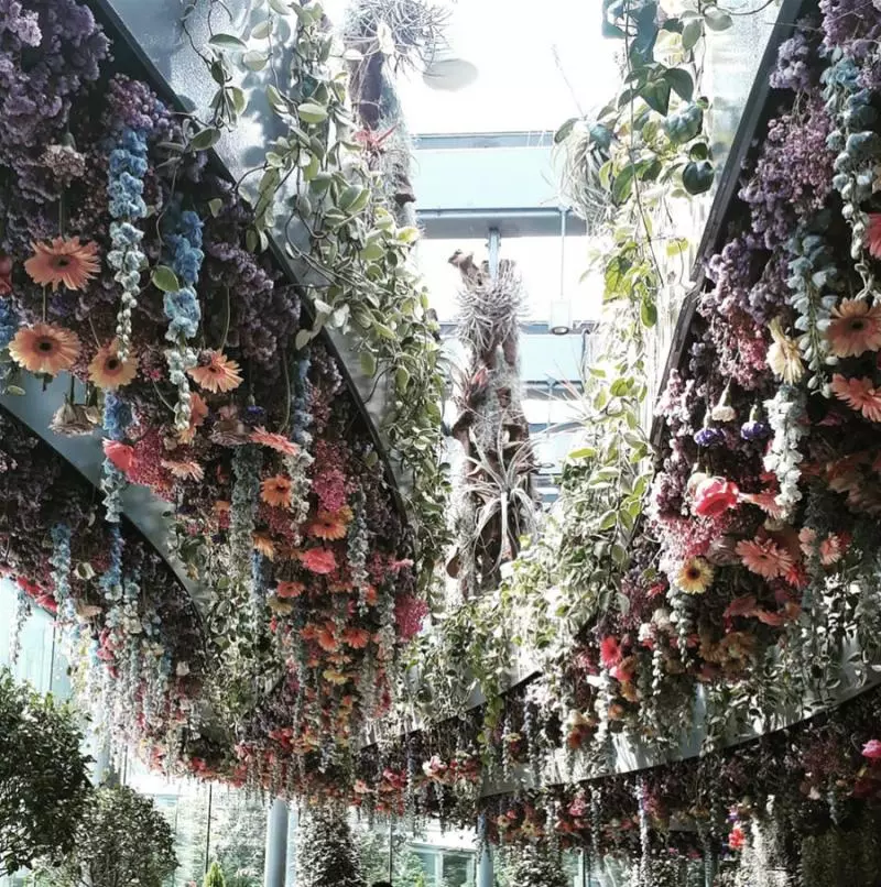 2019 新加坡必去景點,花仙子的夢幻世界,無敵美的超級樹!