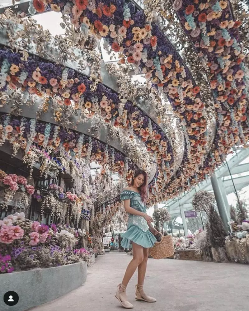 2019 新加坡必去景點,花仙子的夢幻世界,無敵美的超級樹!
