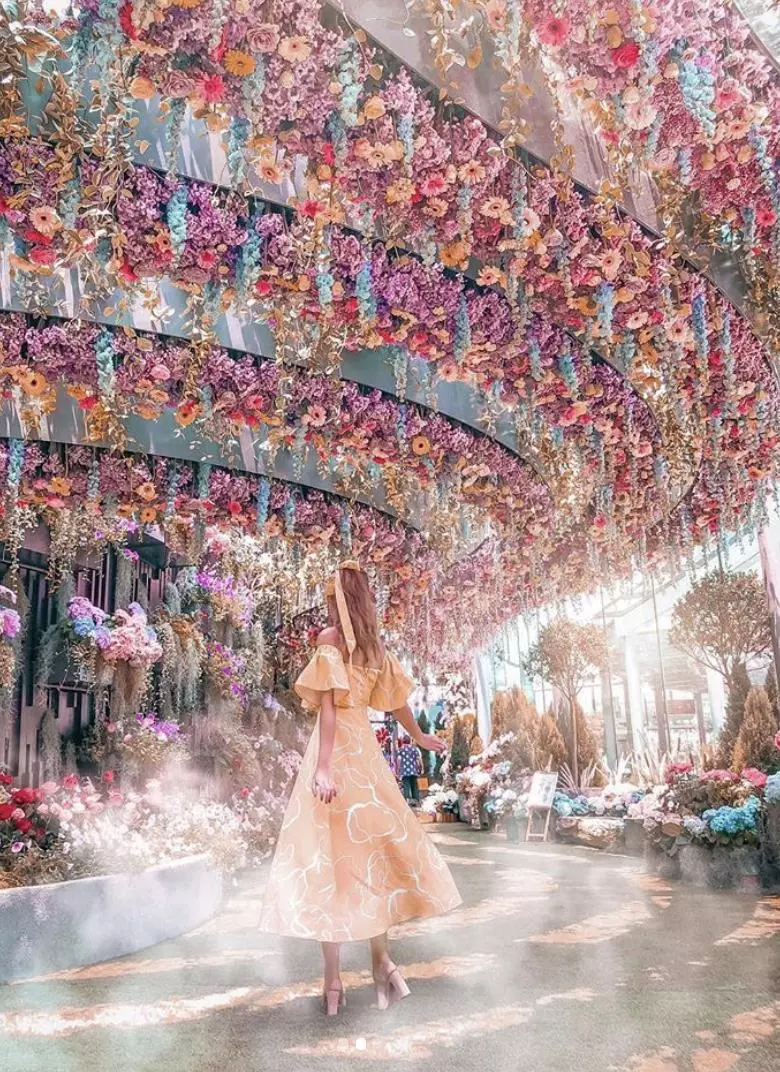 2019 新加坡必去景點,花仙子的夢幻世界,無敵美的超級樹!
